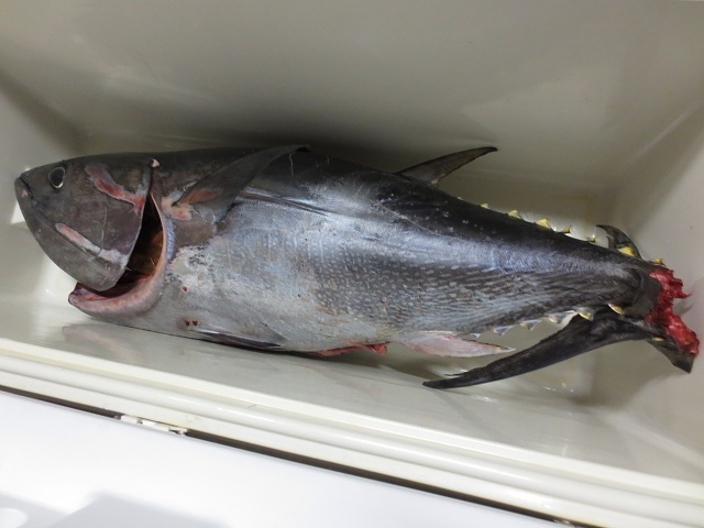 20130109_4.jpg